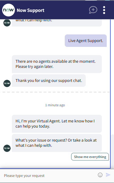 virtual agent